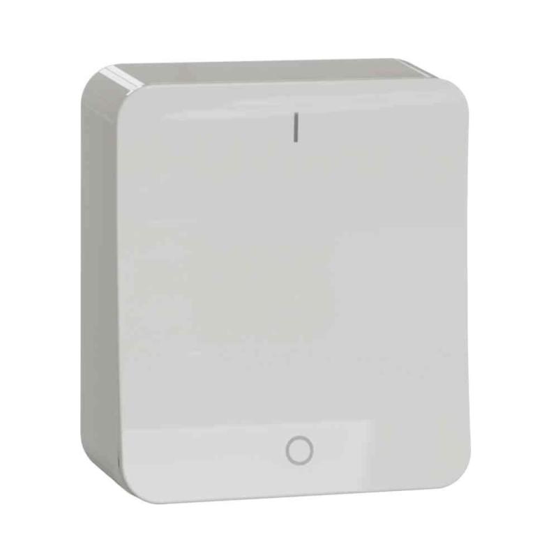 Switch Overflademonteret Exxact 2Polet 16A 250V Hvid IP20 Schneider Electric