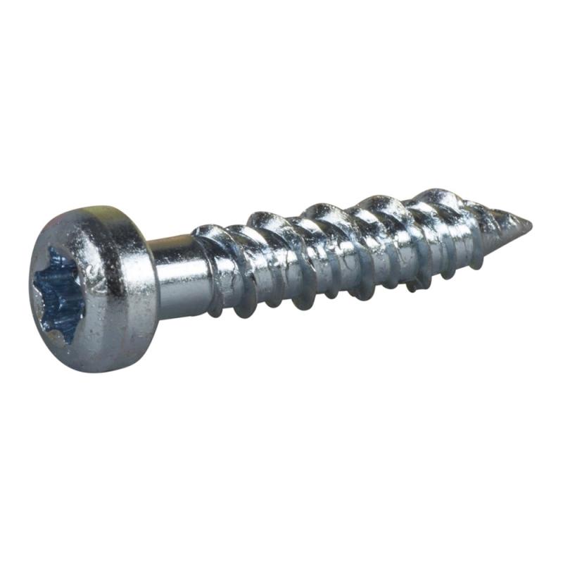 Betongskruv ECS-PS Kullrigt Huvud FZB C1 6,3x30mm 100st Essve