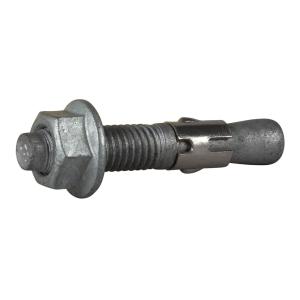Expander Golden Anchor M10x60mm FZV C3 50st Essve