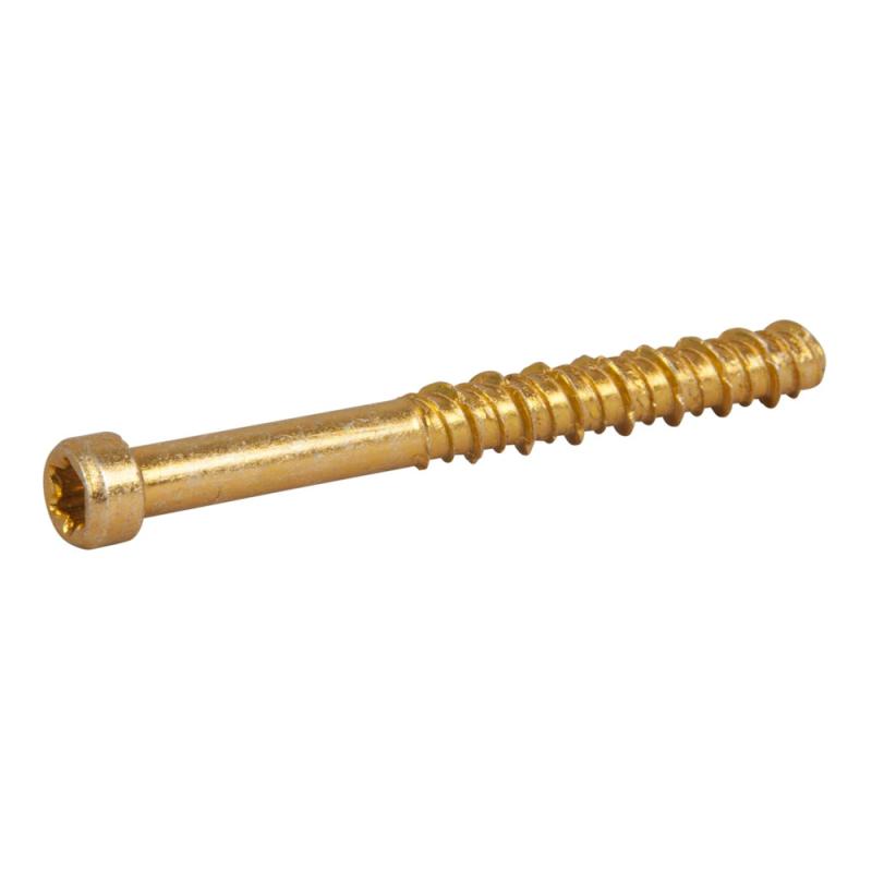 Betongskruv För Eklist/Sockel ECS-CY TX20 5(4)x60mm Blankförzinkad C1 Gul 75st Essve