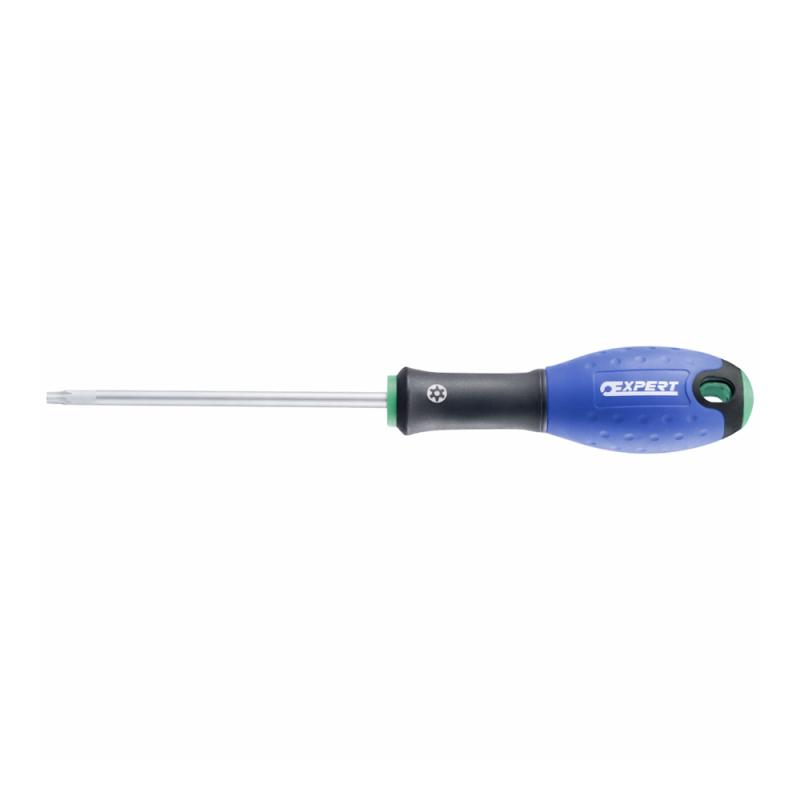 Skruvmejsel Torx Tamper TT30 125mm Expert