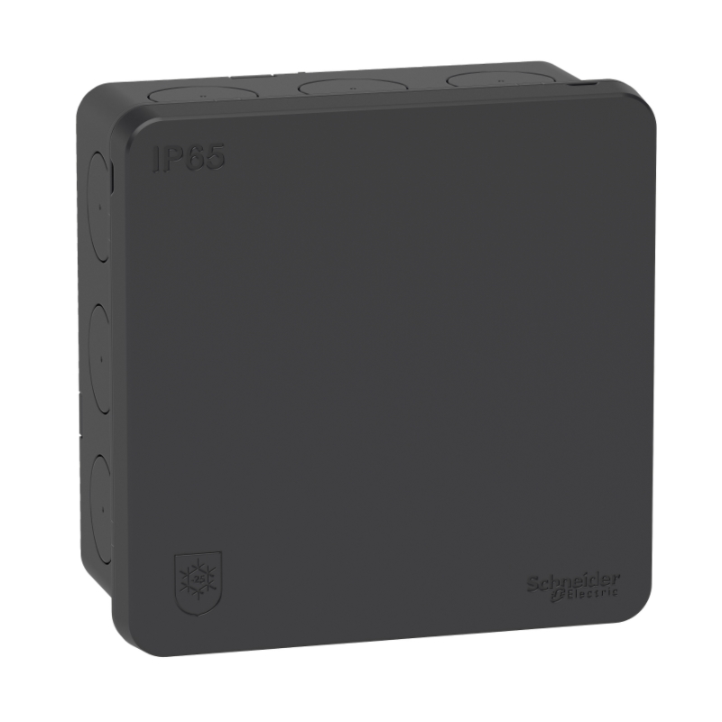 Kopplingsdosa IP65 2K Antracit Schneider Mureva