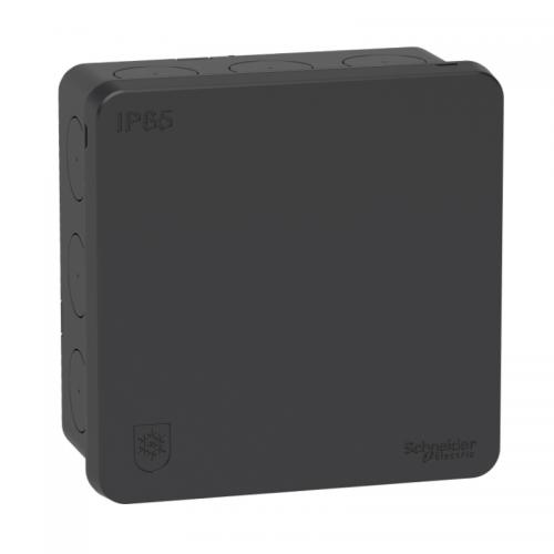 Kopplingsdosa IP65 2K Antracit Schneider Mureva