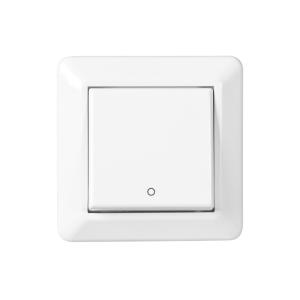 Switch 2-Pole Recessed Without Claws 250V 16A Mountain White Elko