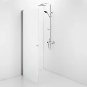 Shower door Glass Ifö Space SPNF 900 Knob 7399657