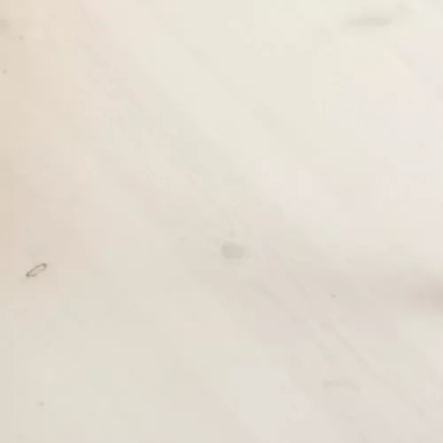 Trägolv Massiv Furu Trend Vit, Baseco