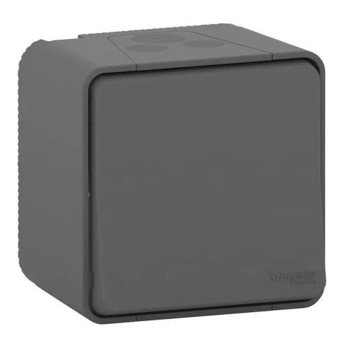Mureva 2Polet Skifte 16A 250V IP55 Grå Schneider Electric