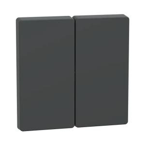 Rocker 2-Gäng Systemdesign IP20 Antracit Schneider Electric