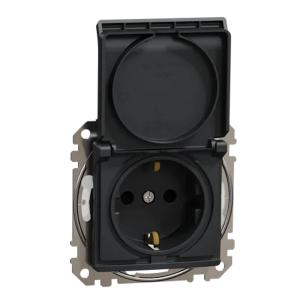 Sedna Design And Elements Socket 2Poles + E 3680W 16A 250V Anthracite Schneider Electric