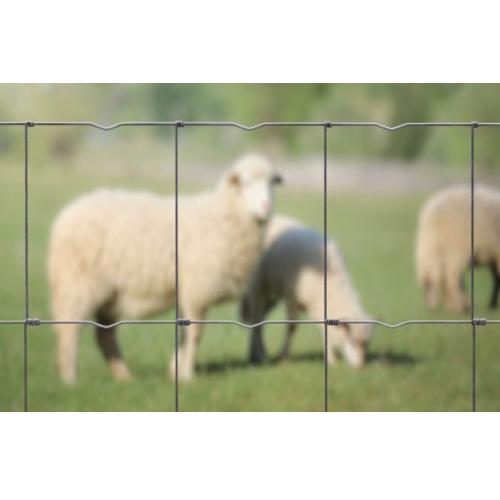 Fårstängsel Typ Vridknut 1000-6-15, 100M