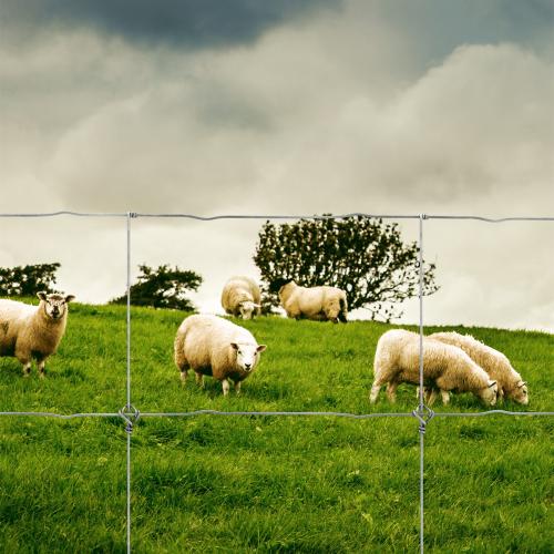 Fårstängsel Safe-Lock 90/6/15cm 50m Haggroth Stangsel