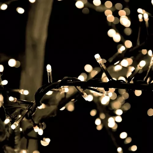 Bliss Festoon Lighting 5m with 500 LED 9W 12V IP44 Warm White LightsOn