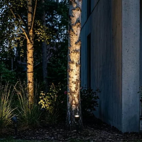 Luminus Ground Spotlight 5W 12V 300lm IP65 Dark Grey LightsOn