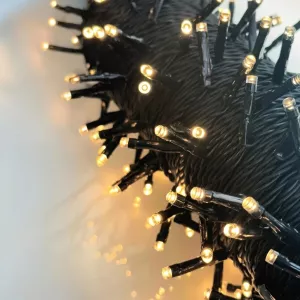 Twinky 10m Light String With 100 LED 4W 12V Warm White LightsOn