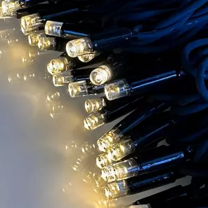 Twinky Pro 10m Light String With 100 LEDs 4W 12V IP44 Warm White LightsOn