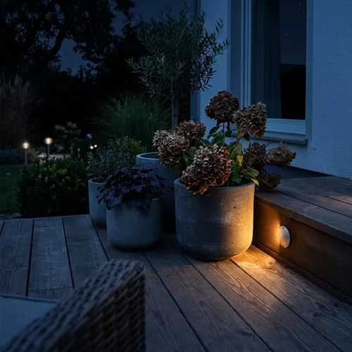 Zenit Lighting Wooden Deck LED 0.5W 12V 20lm Silver 5pcs LightsOn