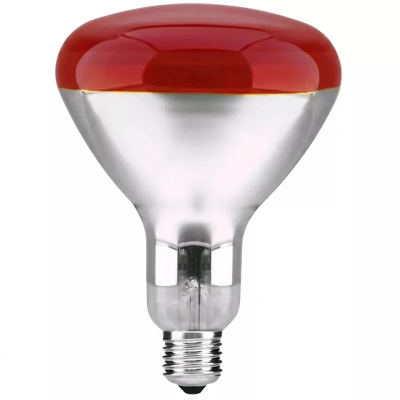 Reflektorlampa 125x173mm 250W 220-240V E27 R120 IR Röd 10st Patron