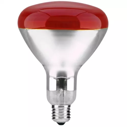 Reflektorlampe 125x173mm 250W 220-240V E27 R120 IR Rød 10stk Patron