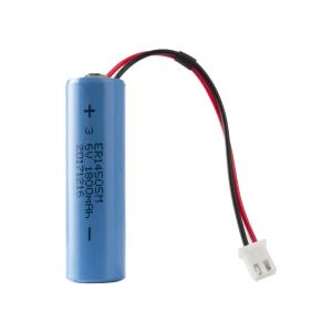 Swim & Fun Blue Connect Go Lithium Battery