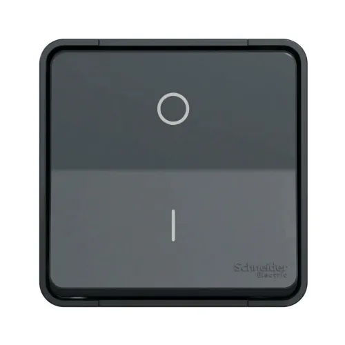Switch Mureva Style 2Poles 16A 250V IP55 Grey Schneider Electric