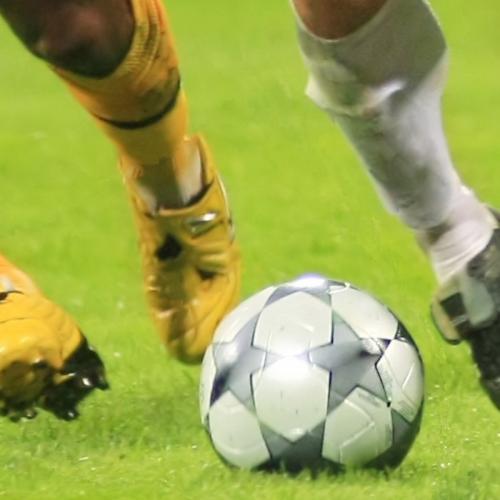 Gräsfrö Euroboll 20kg