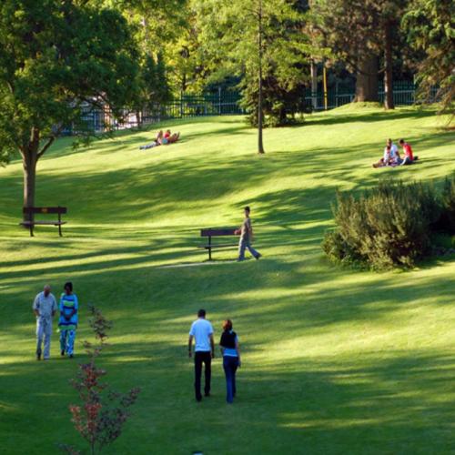Gräsfröblandning Park 20kg