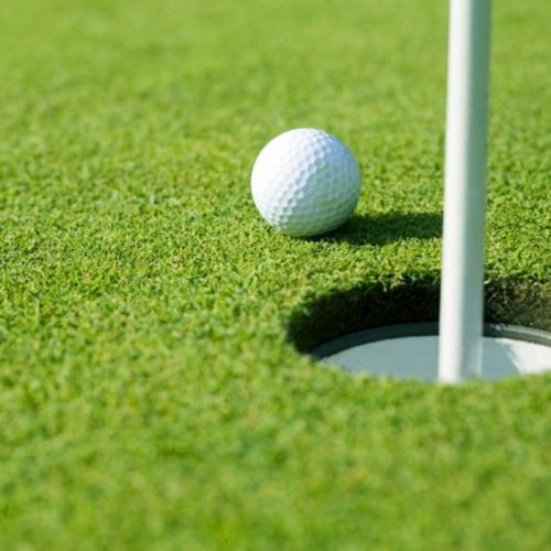 Golfplan Fröblandning 100 Svingel, 20kg