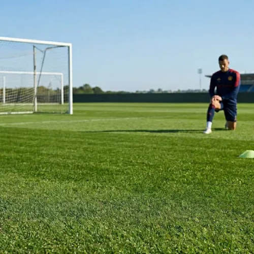 SW Horto Grass Seed SuperSport 15kg For Sports Fields