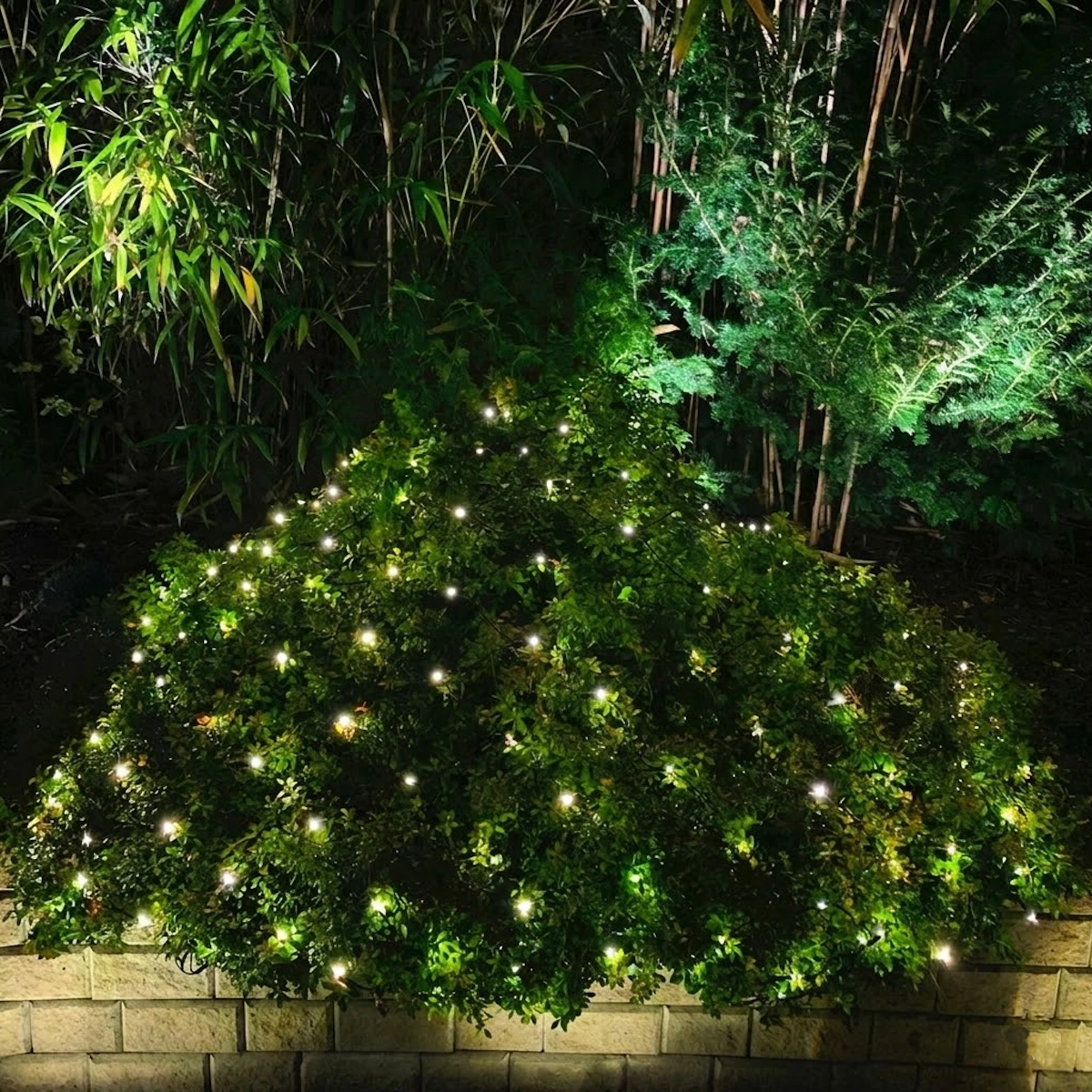 Net Lysnet 2x1,5m Med 168stk LED 6W 12V IP44 Varmhvid LightsOn