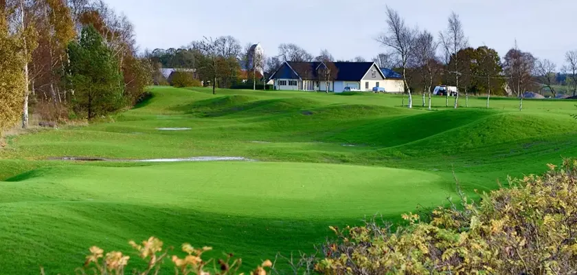 gräs österlen villa skånefrö gräsmata gräsfrö