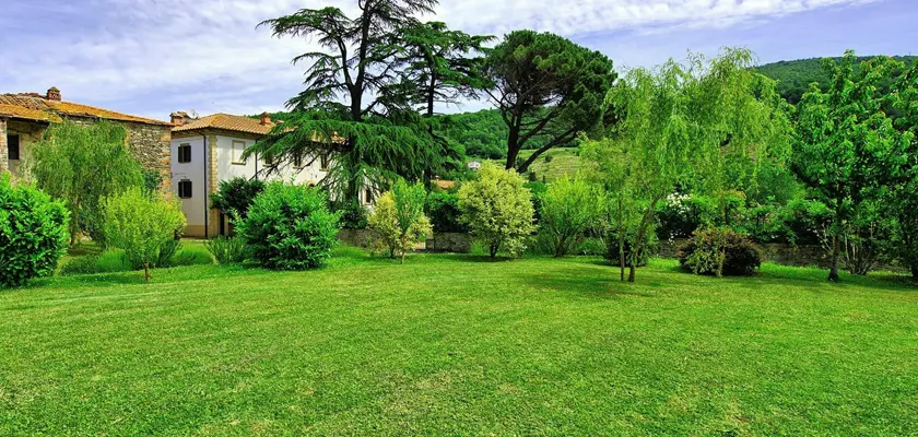 gräs villa lyx skånefrö gräsmata gräsfrö