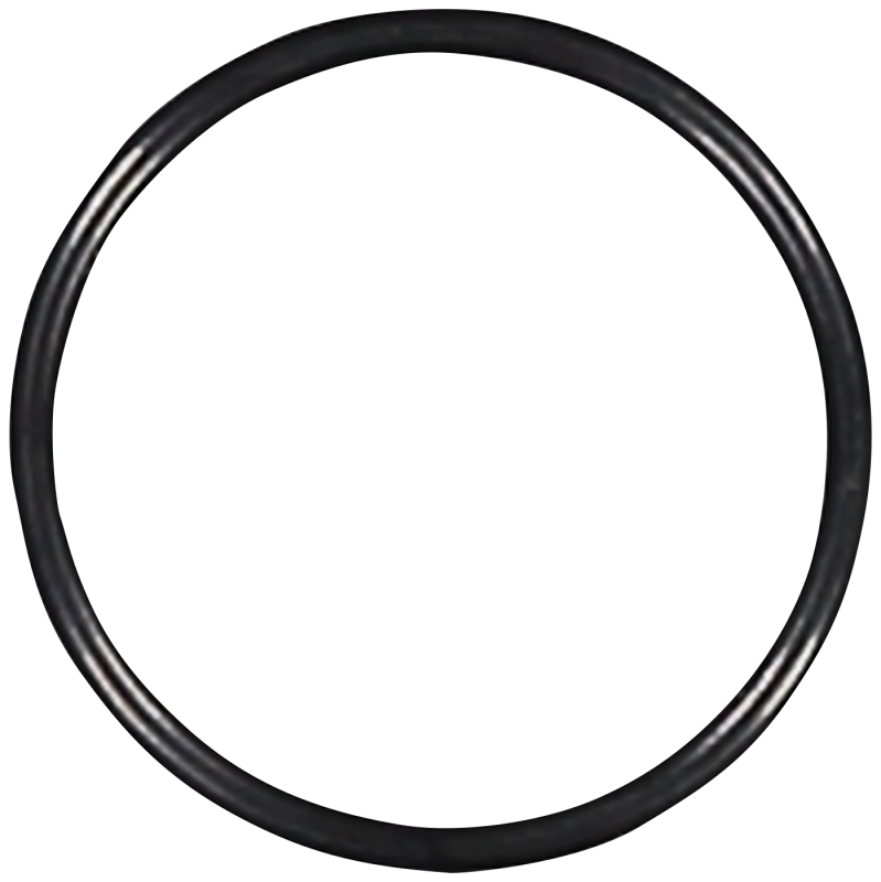 O-Ring Till Slang R06-0202