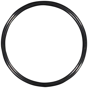 O-Ring Till Slang R06-0202