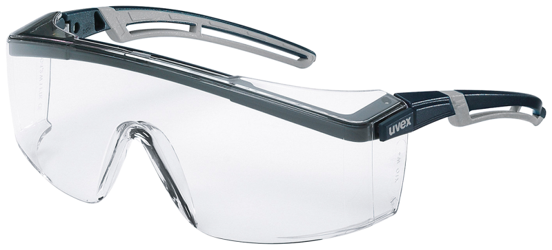 Glasögon 9164187 Klar