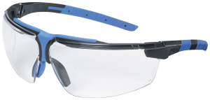 Glasögon 9190838 Klar