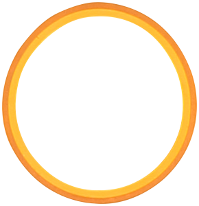 Tätningsring R01-3011