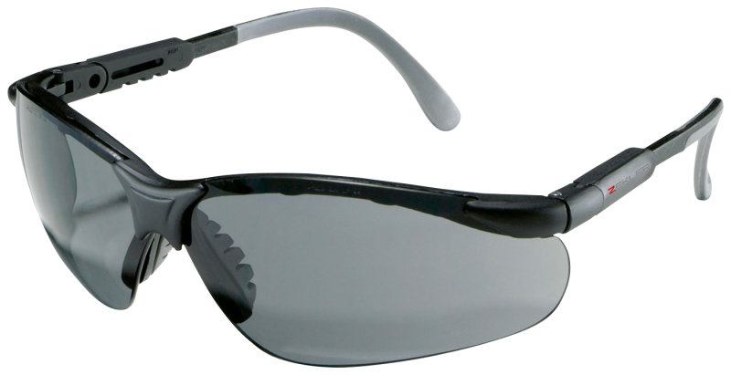 Glasögon Zekler 55 Hc/Af Grå