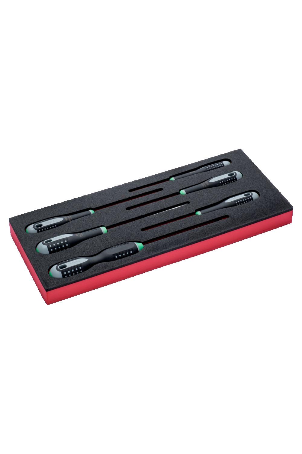 INLÄGG SKRUVM TORX 6 DELAR 1/