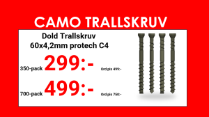 Dold Trallskruv 60x4,2mm protech C4