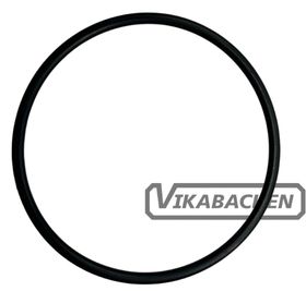 O-Ring Termostat