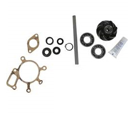 Repsats V-pump D42/45, TD42/45