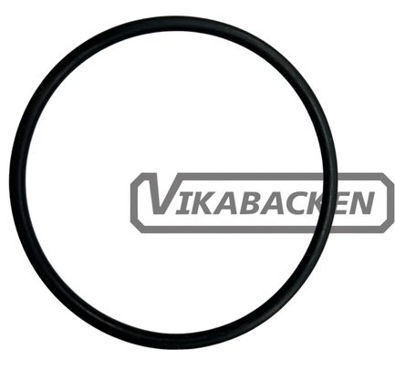 O-ring