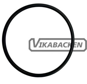 O-ring