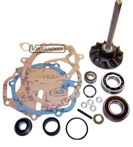 Repsats V-pump BM D50/TD50