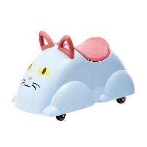 Cute Rider Katt