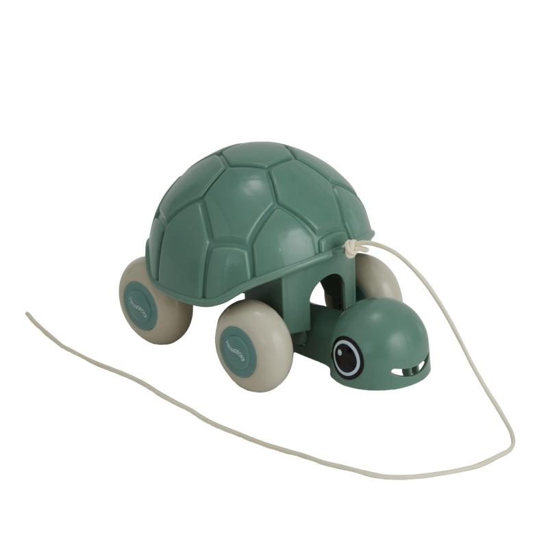 Sköldpadda