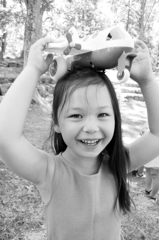 Jumbo Airplan (bulk)