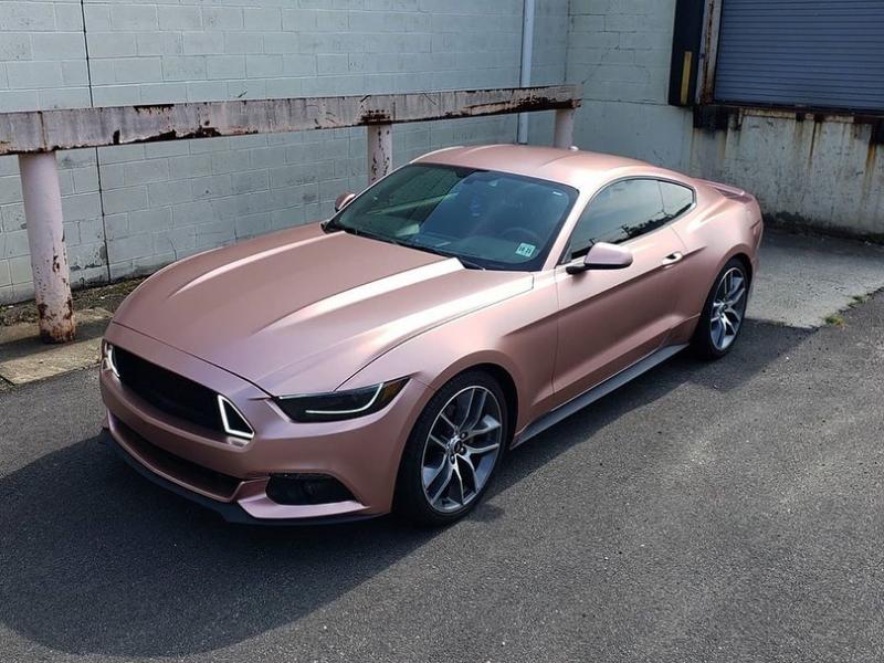 TeckWrap ECH04 Royal Bronze