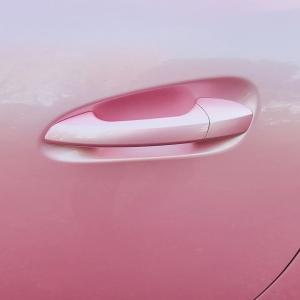 TeckWrap SL01-HD Pink Sakura