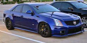 Avery Gloss Indigo Blue